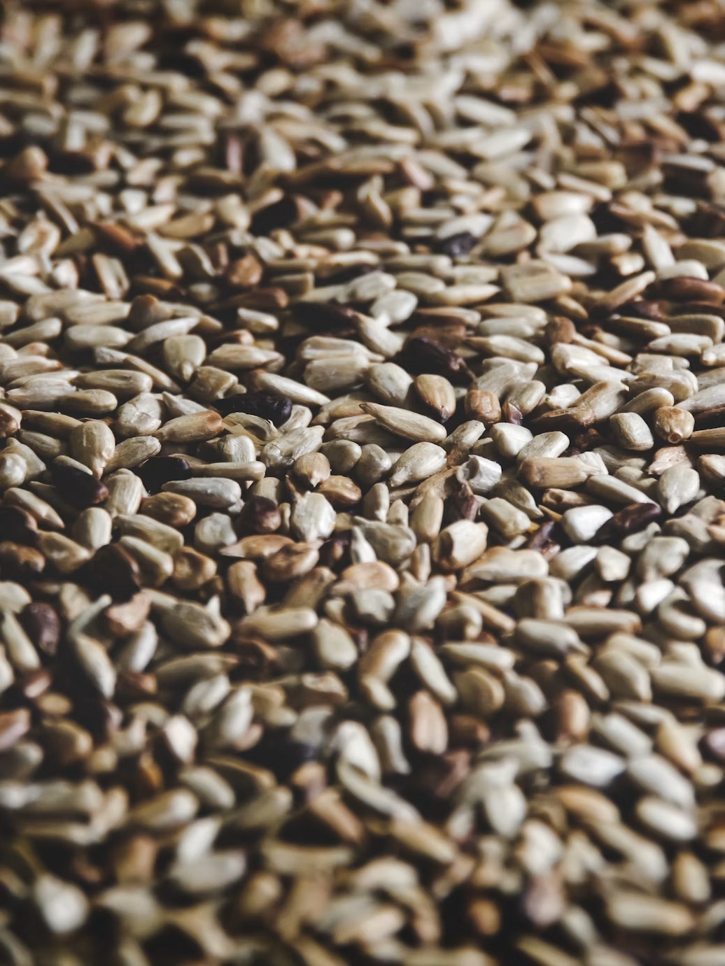 Hulled Sesame Seeds view 2